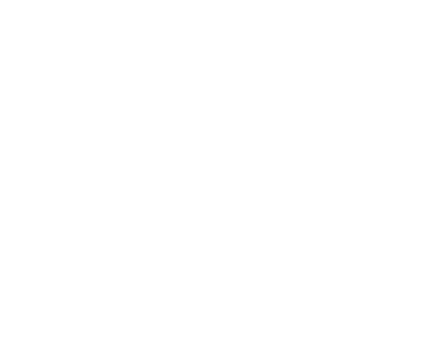 Audacious Bliss Boutique